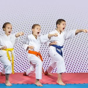 Martial Arts Lessons for Kids in Allen TX - Punching Focus Kids Sync